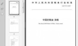 国产15页,深度解析我国创新成果与未来展望