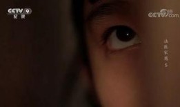 国产重口味视频