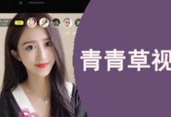 青青草国产视,探寻本土文化的光影魅力