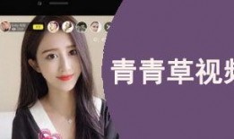 青青草国产视,探寻本土文化的光影魅力