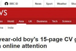 国产15页,深度解析我国创新成果与未来展望