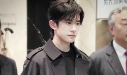 国产欧美日本免费一级视频,内容概览与行业洞察