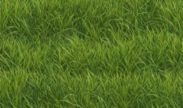 国产精品嫩草影院88AV,88AV带你领略嫩草影院的魅力