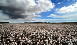 九九热视频国产,国货之光，引领短视频新潮流