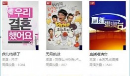 国产在线1024,揭秘国内热门视频平台的魅力与挑战