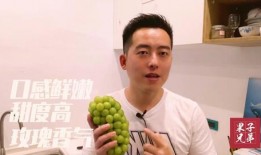 国产口暴,国产影视作品中的口暴现象解析