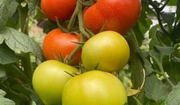 国产资源无限好片,揭秘国内影视产业的璀璨明珠