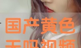 在线成人国产,探索中国在线成人产业的崛起与未来