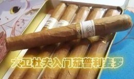 国产雪茄哪里买,国产雪茄购买指南